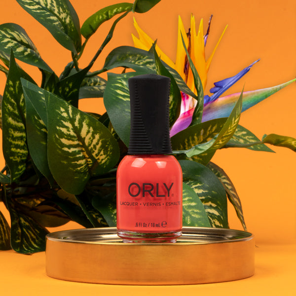 Wild Natured Lacquer 6PIX