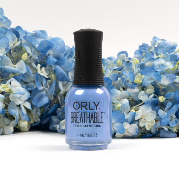 You Had Me At Hydrangea