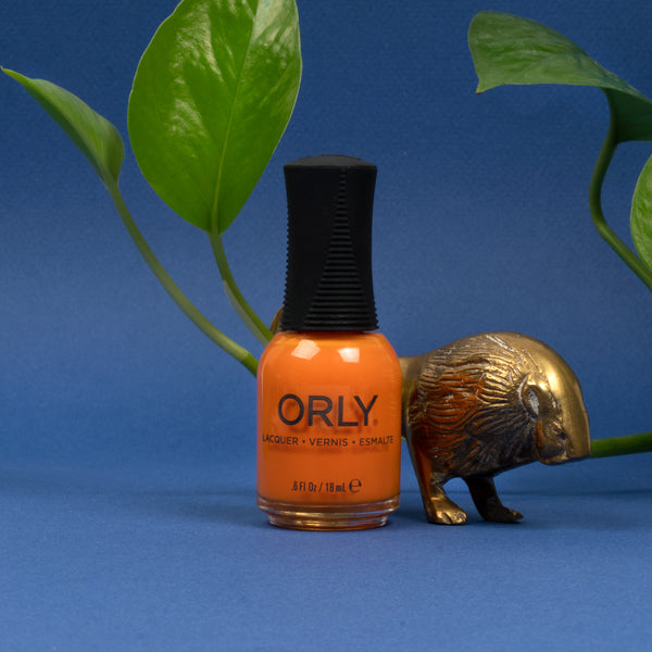 Wild Natured Lacquer 6PIX